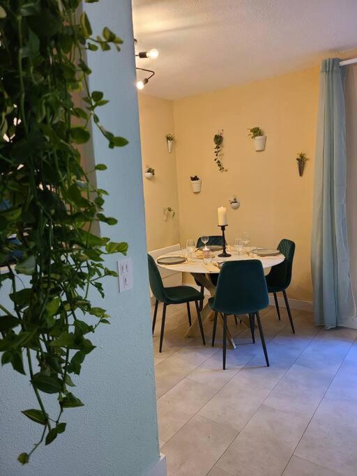 Joli Studio Renove Situe Au Pied Des Thermes Амели-ле-Бен-Палальда Экстерьер фото