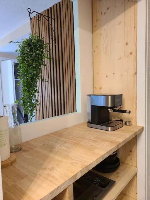 Joli Studio Renove Situe Au Pied Des Thermes Амели-ле-Бен-Палальда Экстерьер фото