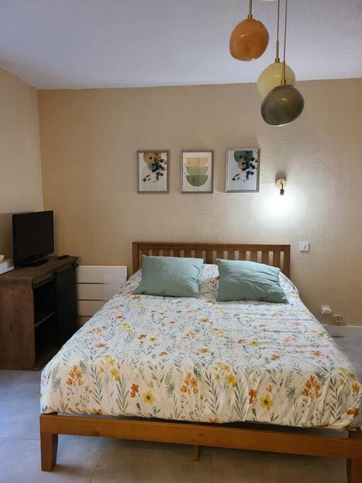 Joli Studio Renove Situe Au Pied Des Thermes Амели-ле-Бен-Палальда Экстерьер фото